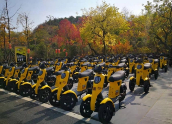 景區觀光(guāng)車(chē)租賃運營