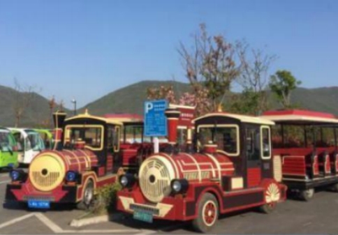 巢湖三瓜公社-郁金(jīn)香花節