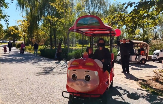 【綠(lǜ)心公園新風尚】新款豬豬俠觀光(guāng)車(chē)來襲，遊客好評如(rú)潮！